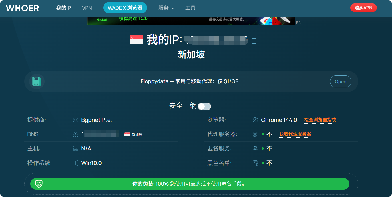 Whoer.net 官网界面：快速进行IP纯净度检测并查看IP伪装度评分。