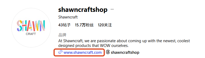 Instagram主页挂独立站链接例子：shawncraftsshop