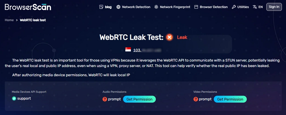 WebRTC Leak Test