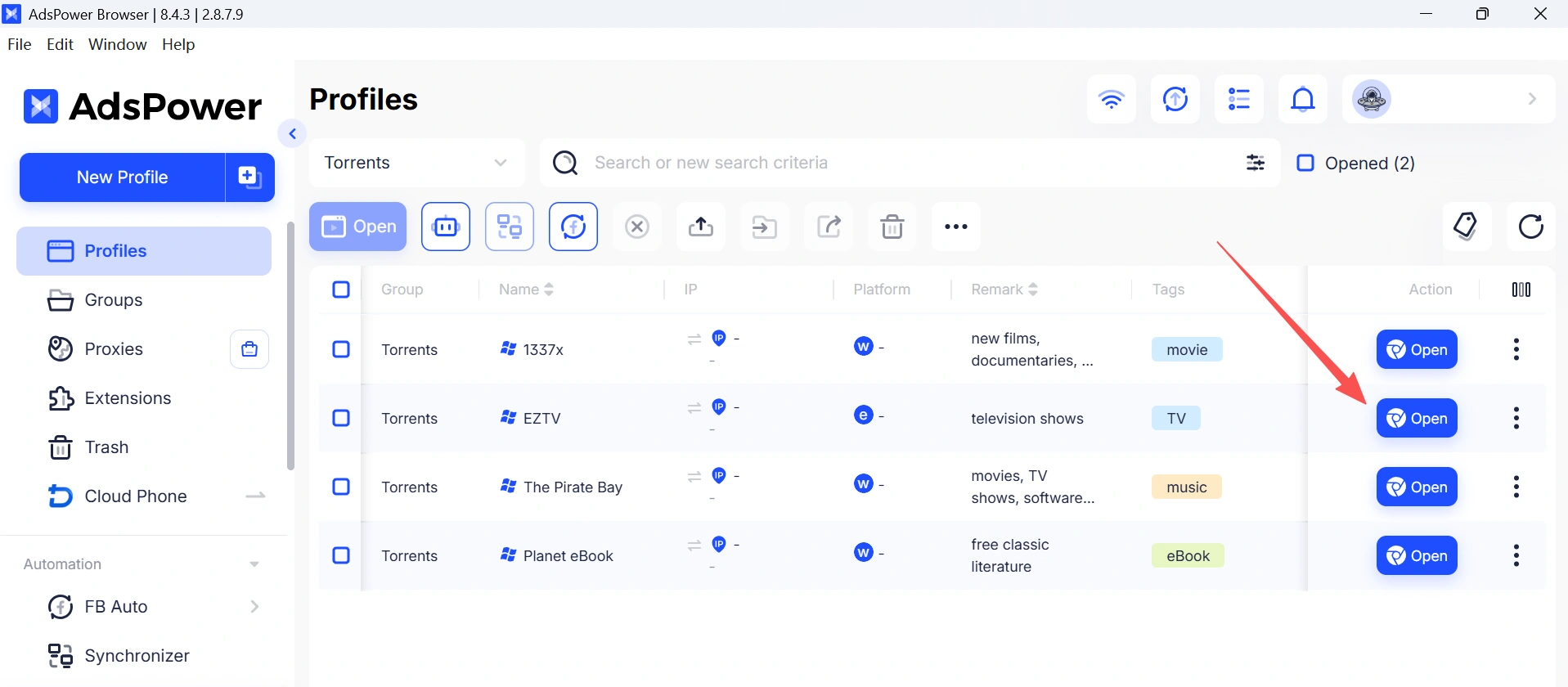 open-browser-profile-for-torrents-safely