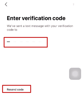 Image of the verification code entry page on LINE