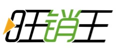 旺销王ERP 旺销王ERP