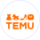 E-commerce Temu