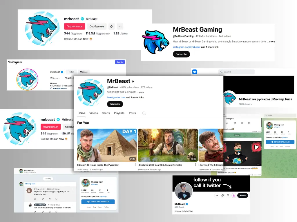 несколько дочерних каналов и аккаунты на других платформах