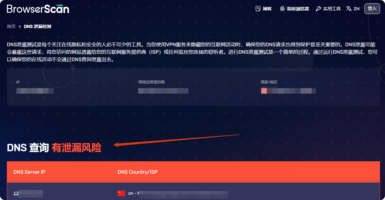 browserscan检测dns泄漏