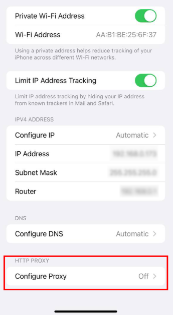 Manual Proxy Setup on iOS