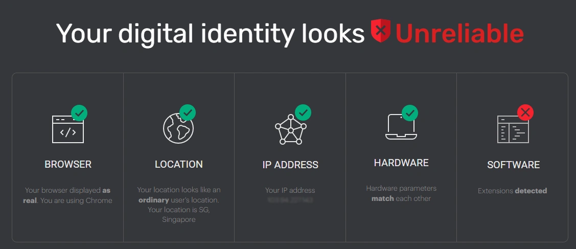Check Your Digital Identity