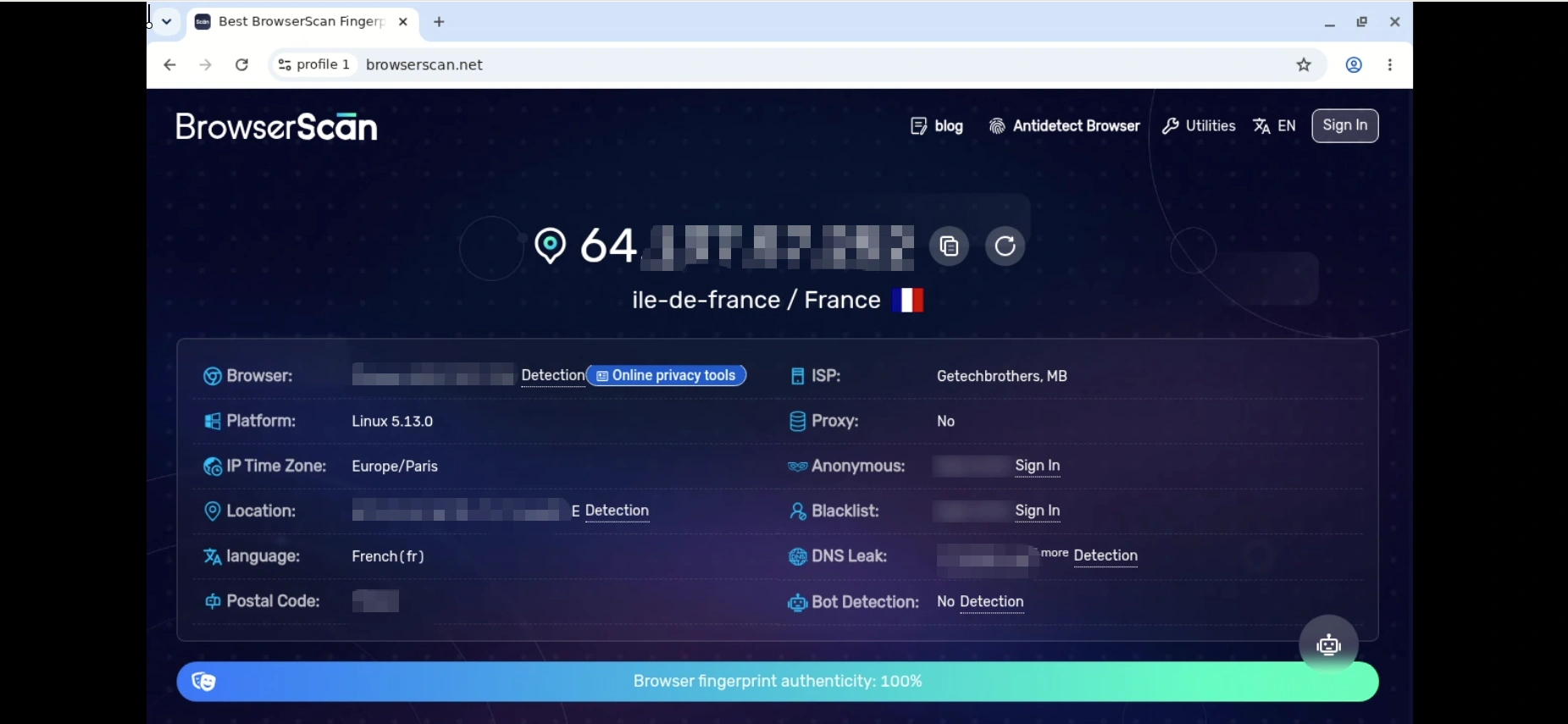 gologin-fingerprint-test