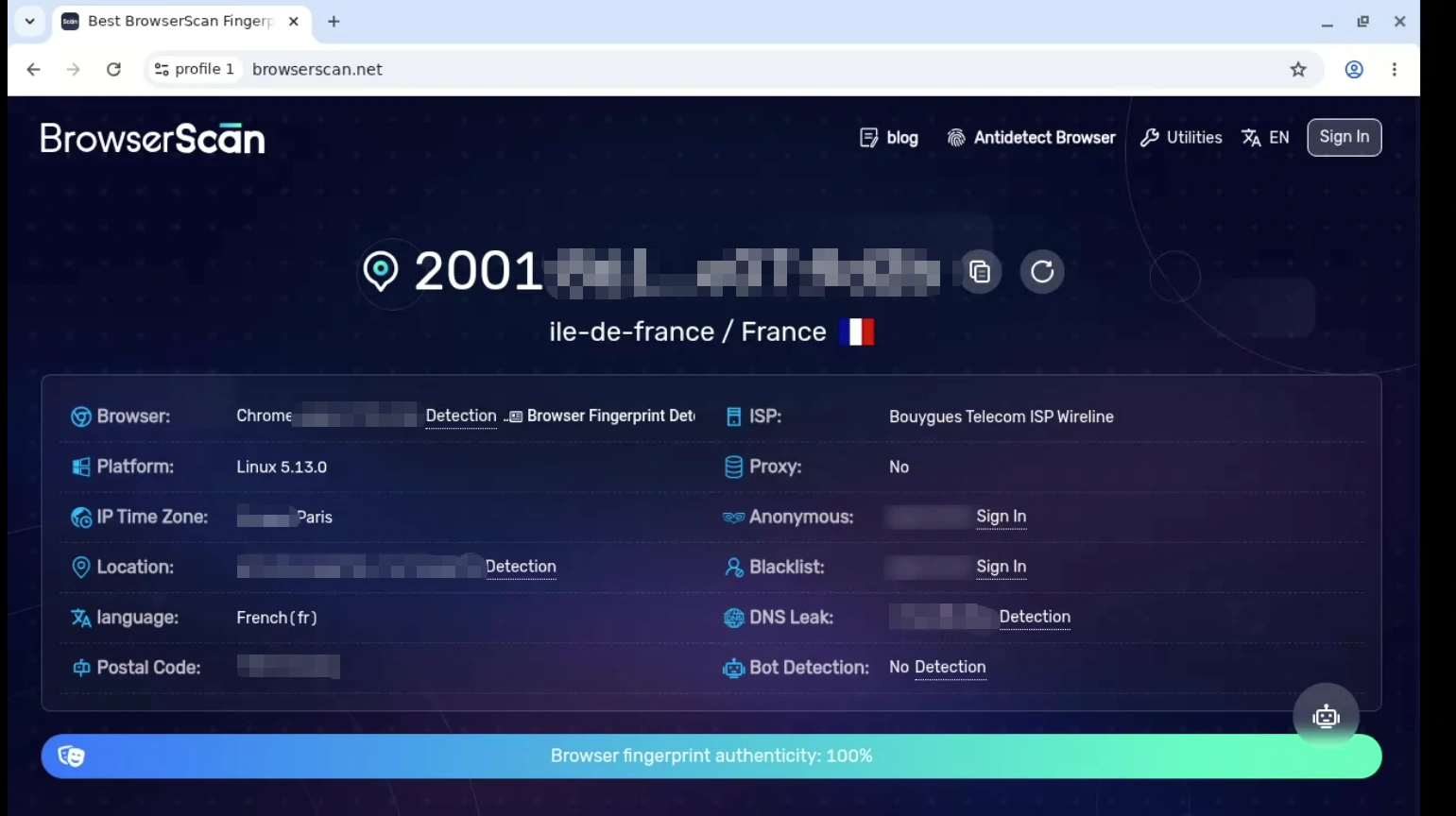 gologin-fingerprint-test