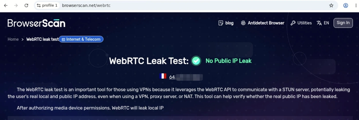 gologin-webrtc-leak-test
