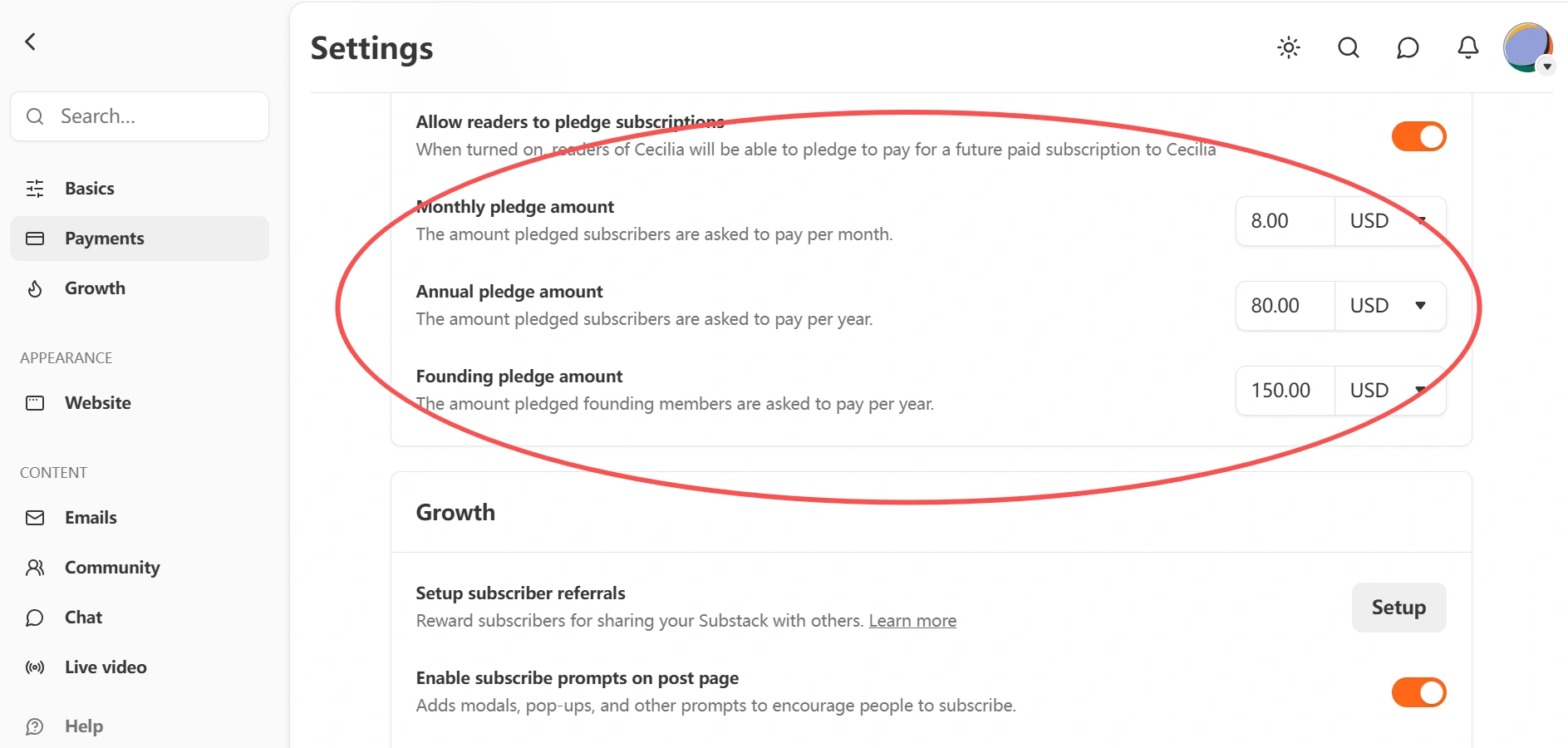 substack-paid-plan