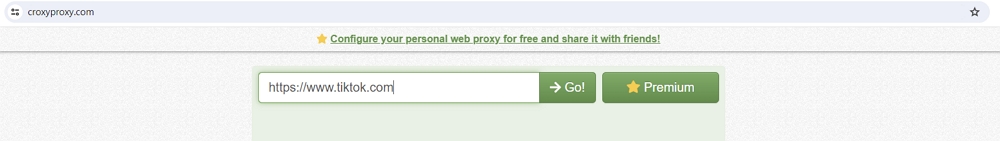 Web-Based Proxy Sites