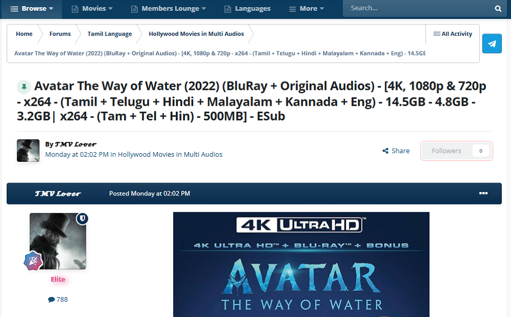 Using TamilMV Proxy or Mirror Sites