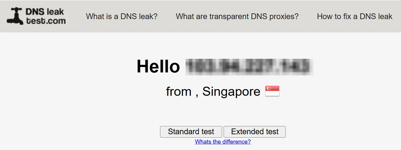 DNSLeakTest.com